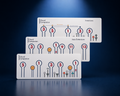 The Chord Companion - Cards Only